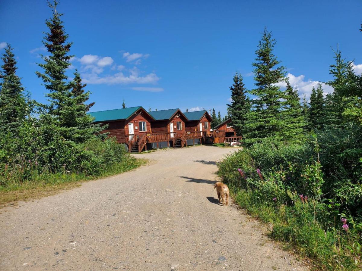 Denali'S Alaskan Spruce Cabins Healy Exterior foto